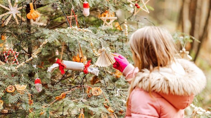 Longshaw Estate Christmas Tree Celebration - National Trust